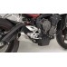 2017-2024 TRIUMPH STREET TRIPLE 765 Evo Megaphone Full System 2017-2024 TRIUMPH STREET TRIPLE 765 Evo Megaphone Full System